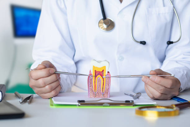 Best Emergency Wisdom Teeth Removal in Oradell, NJ